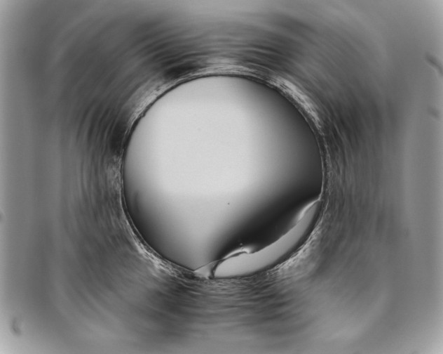 X0000094781049200712071200