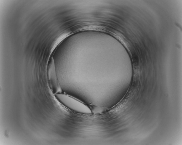 X0000094781050200712071200