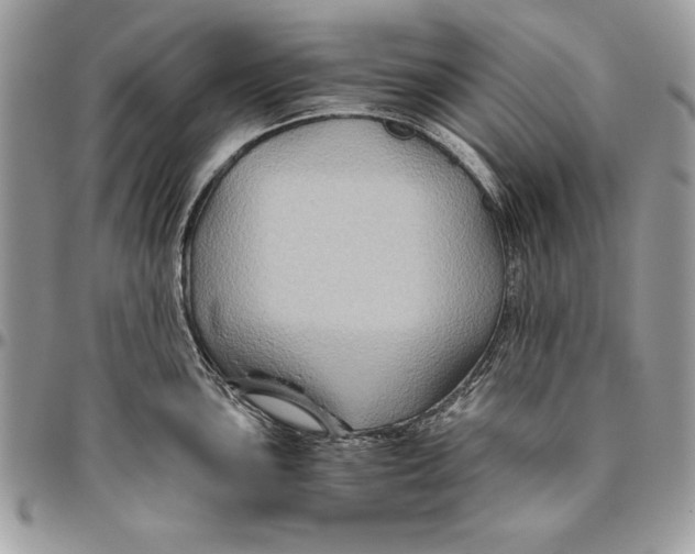 X0000094781051200712071200