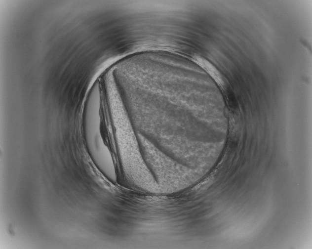 X0000094781052200712071200