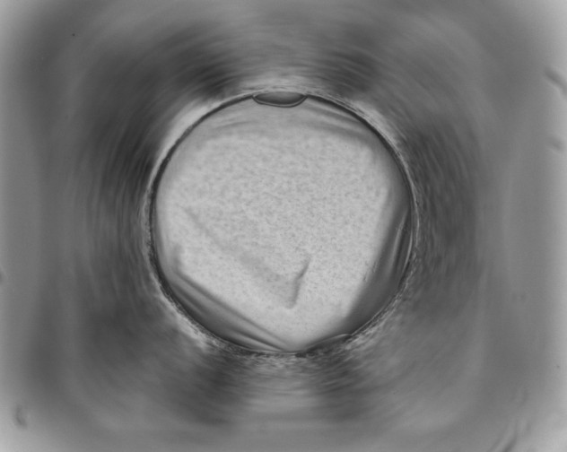 X0000094781056200712071200