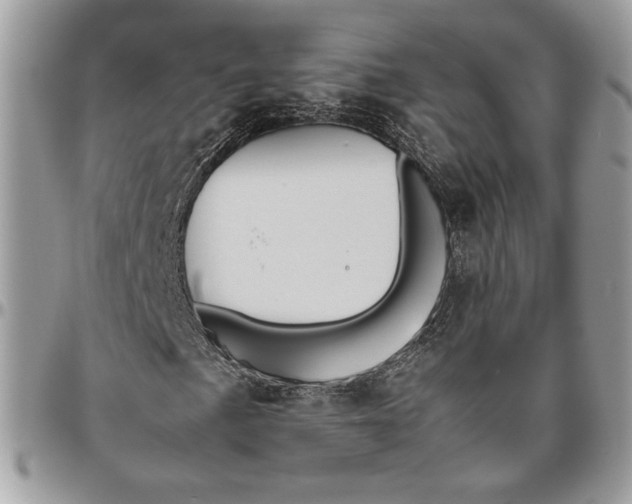 X0000094781057200712071159