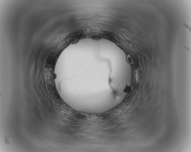 X0000094781059200712071159