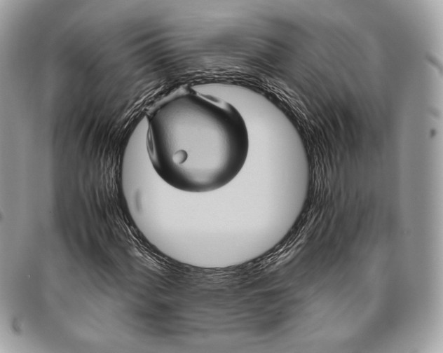 X0000094781060200712071159