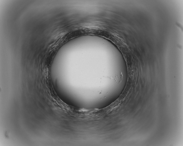 X0000094781061200712071159