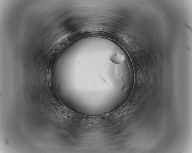 X0000094781062200712071159