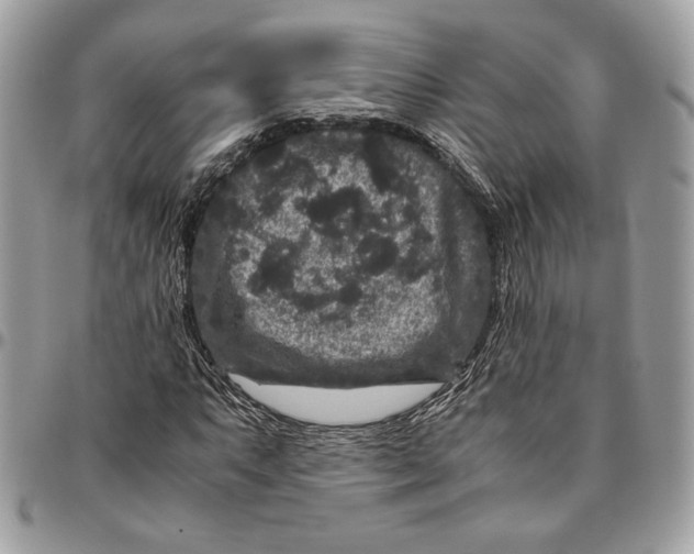 X0000094781063200712071159