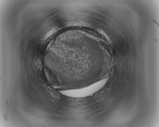 X0000094781064200712071159