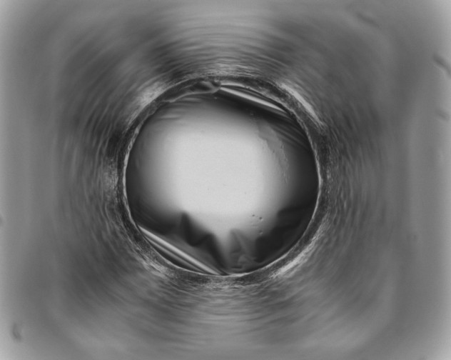 X0000094781065200712071159