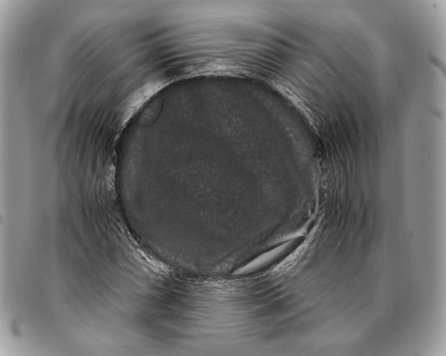 X0000094781066200712071159