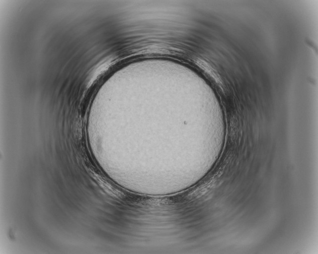 X0000094781067200712071159