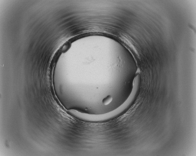 X0000094781068200712071159