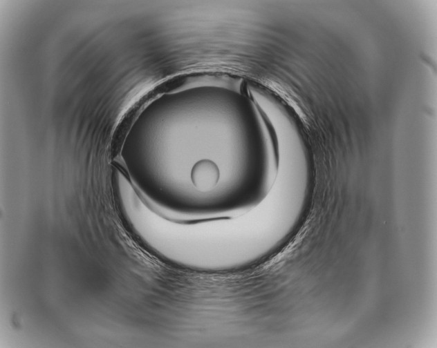 X0000094781069200712071159