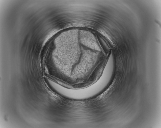 X0000094781070200712071159