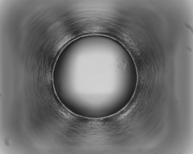 X0000094781073200712071159