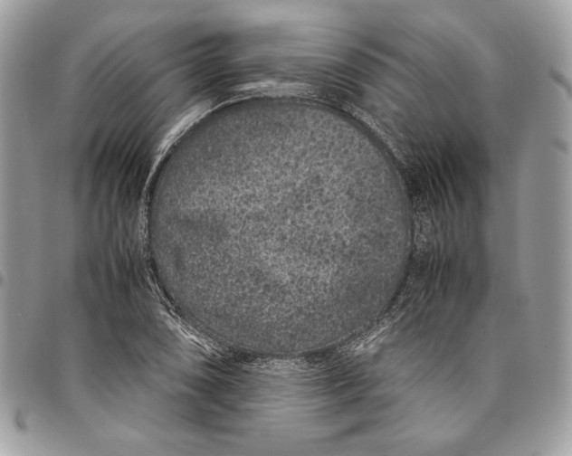 X0000094781074200712071159