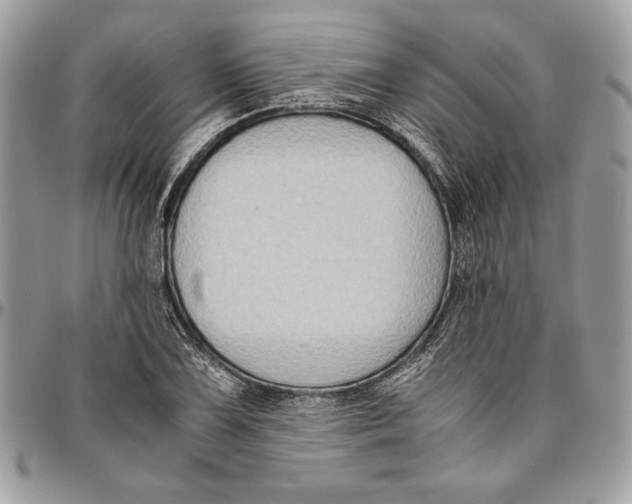 X0000094781075200712071159