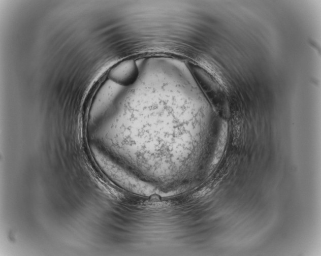 X0000094781076200712071159