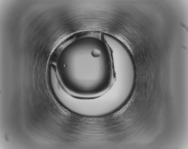 X0000094781077200712071159