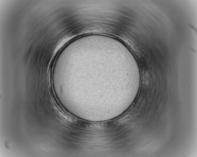 X0000094781078200712071159