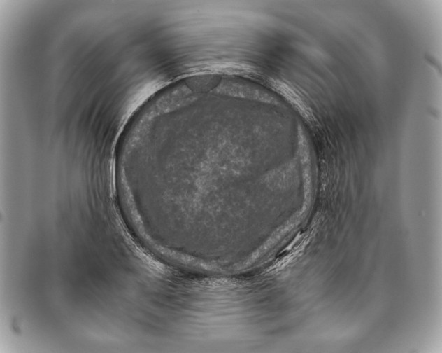 X0000094781079200712071159