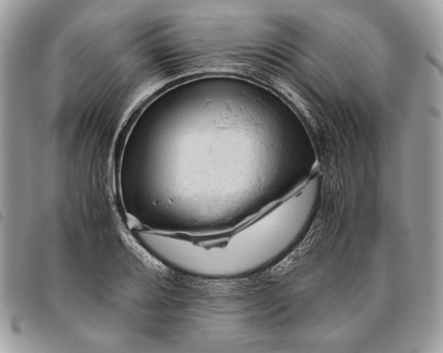 X0000094781080200712071159