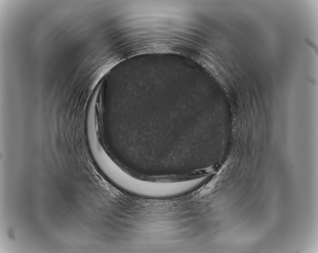 X0000094781081200712071159