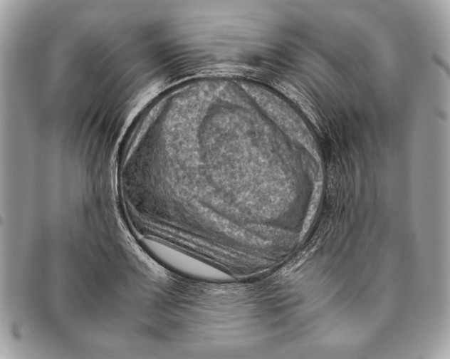 X0000094781083200712071159