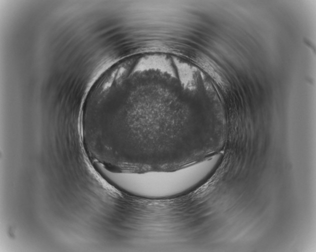 X0000094781084200712071159