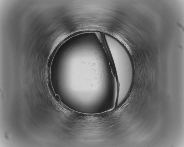 X0000094781085200712071159