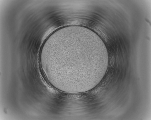 X0000094781086200712071159