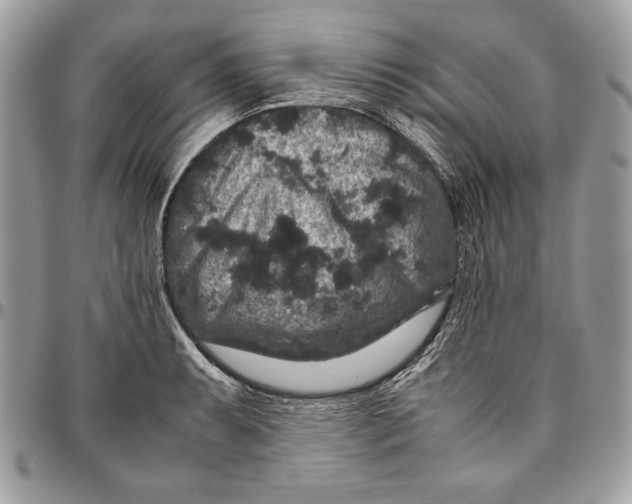 X0000094781087200712071159