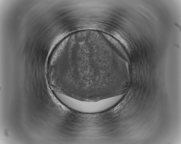 X0000094781088200712071159