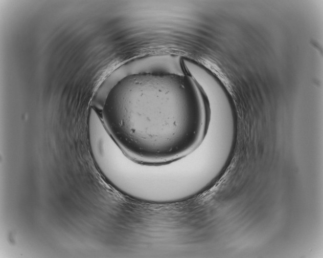 X0000094781089200712071159