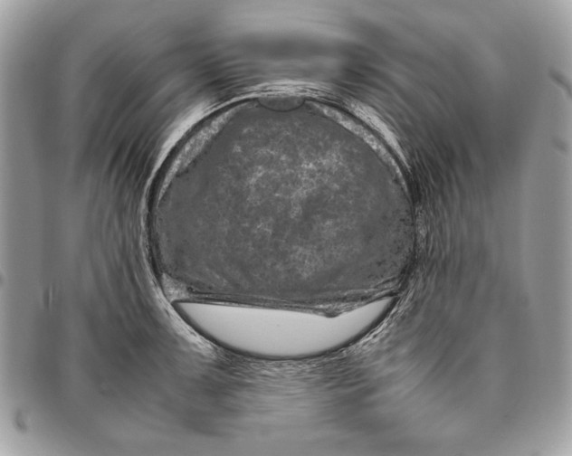 X0000094781091200712071159