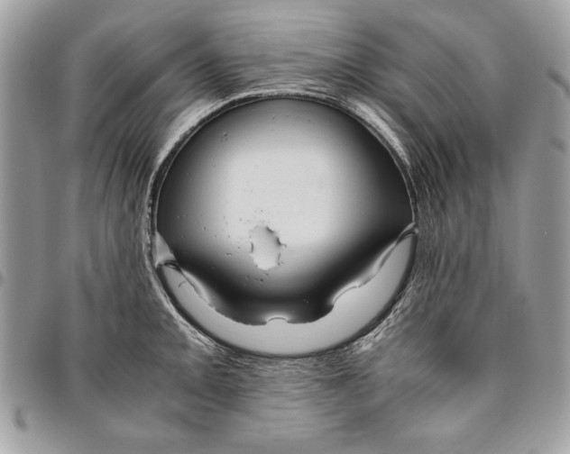 X0000094781093200712071159