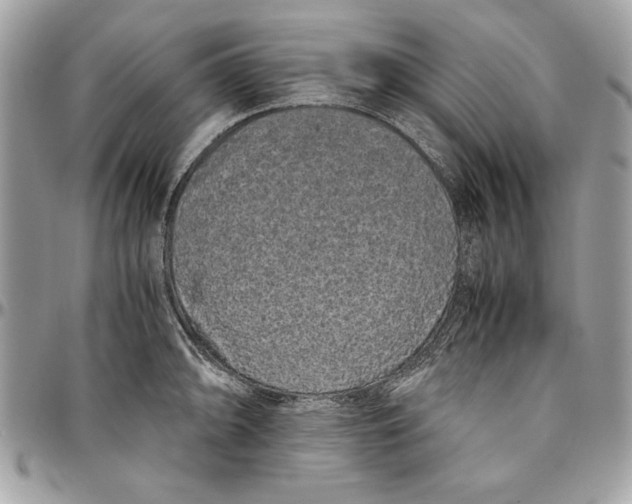 X0000094781094200712071159