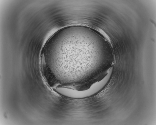 X0000094781096200712071159