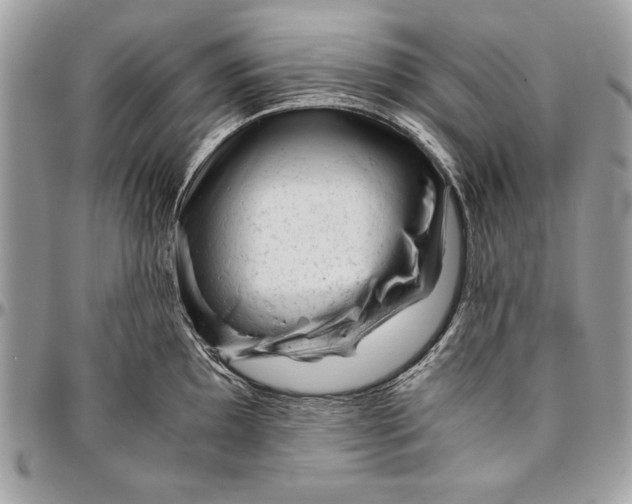 X0000094781097200712071159