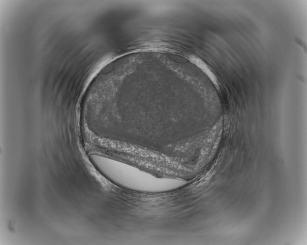 X0000094781099200712071159