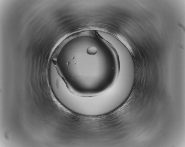 X0000094781100200712071159