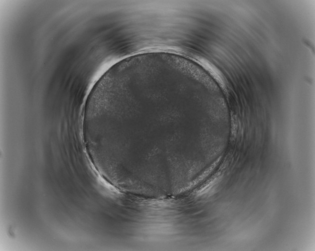 X0000094781102200712071159