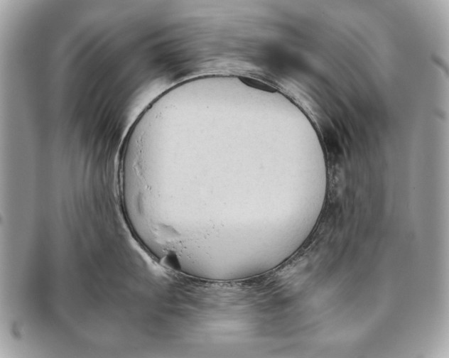 X0000094781103200712071159