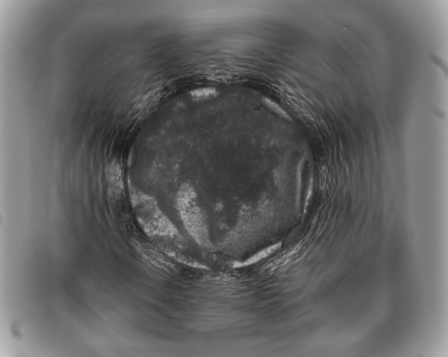 X0000094781106200712071158