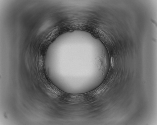 X0000094781107200712071158