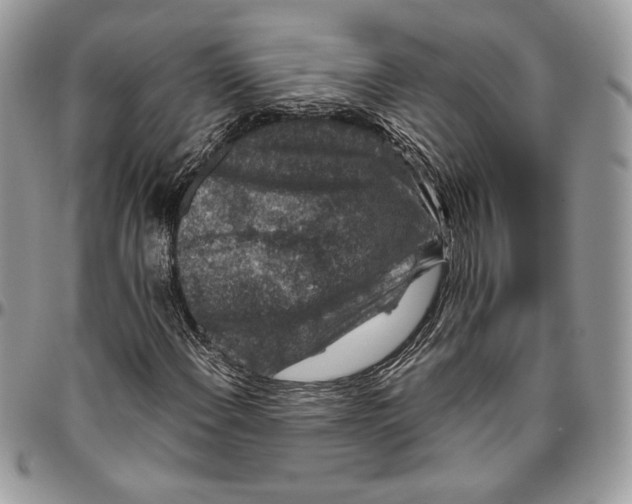 X0000094781108200712071158