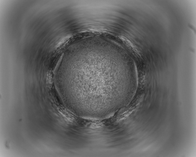 X0000094781110200712071158