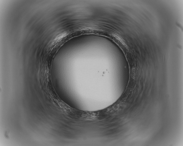 X0000094781111200712071158