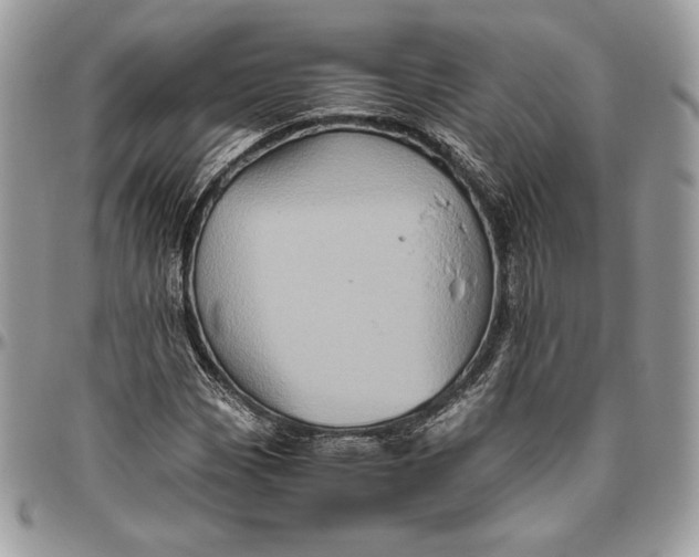 X0000094781113200712071158