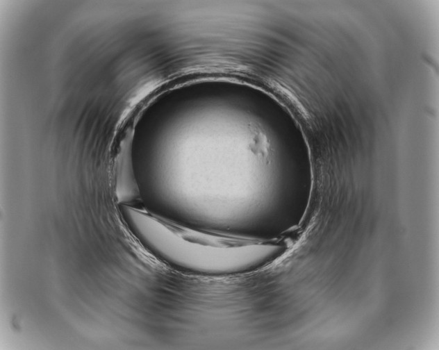 X0000094781114200712071158